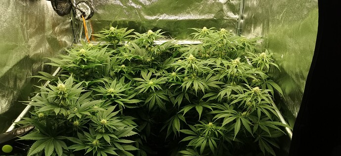 Growreport Bild 22