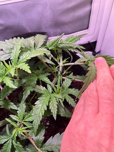 Growreport Bild 14