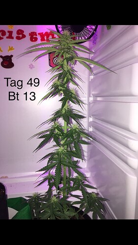 Growreport Bild 11