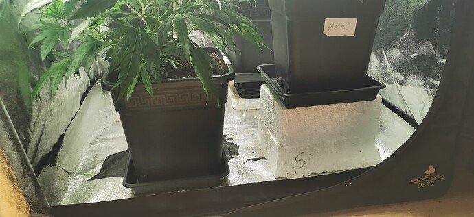 Growreport Bild 11