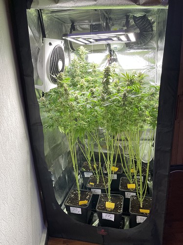 Growreport Bild 6