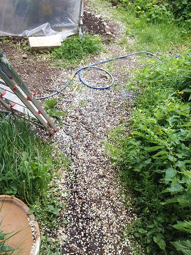 Growreport Bild 1