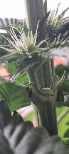 Growreport Bild 11