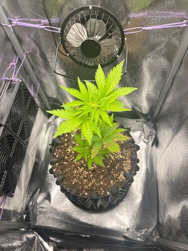Growreport Bild 9