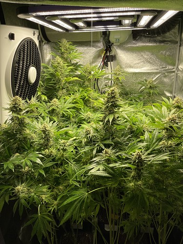 Growreport Bild 6