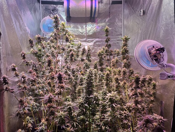 Growreport Bild 60
