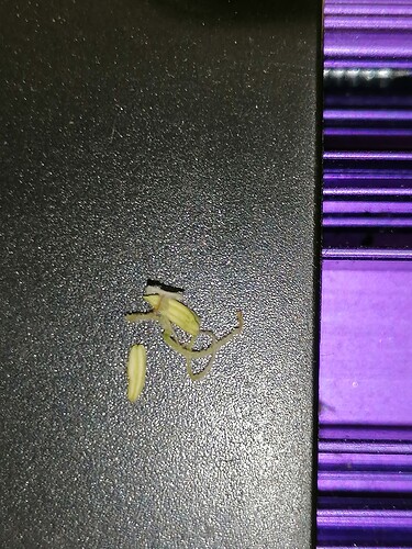 Growreport Bild 11