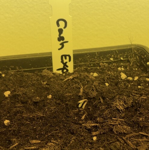 Growreport Bild 24
