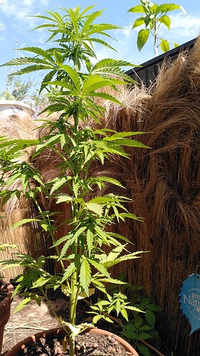 Growreport Bild 6