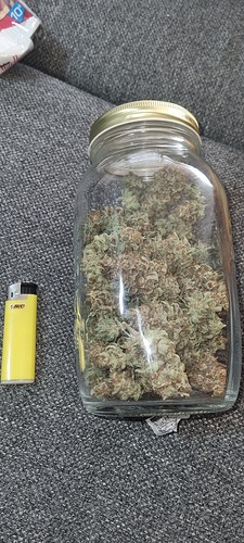 Growreport Bild 14