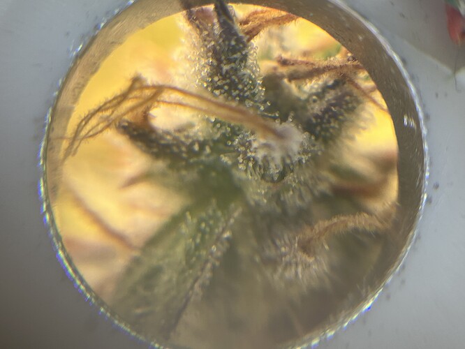 Growreport Bild 10