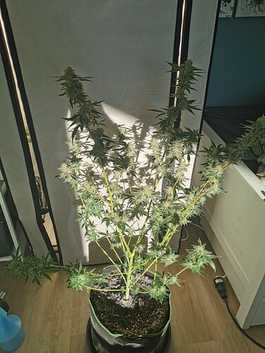 Growreport Bild 5