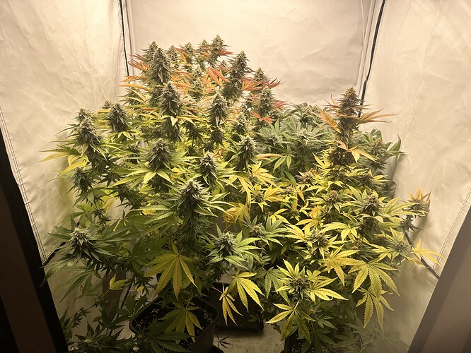 Growreport Bild 5