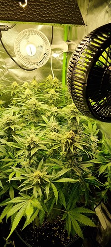 Growreport Bild 9
