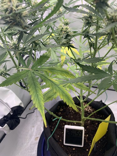 Growreport Bild 11