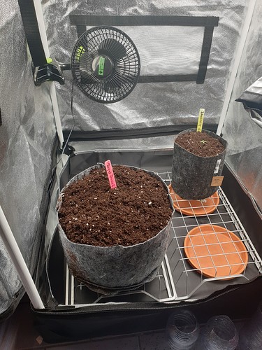 Growreport Bild 6