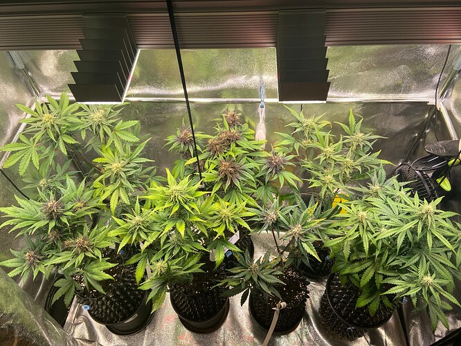 Growreport Bild 6