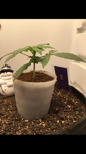 Growreport Bild 10