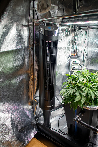 Growreport Bild 18