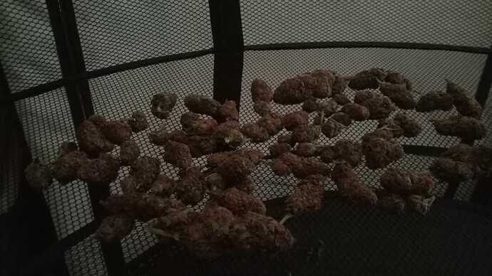 Growreport Bild 14