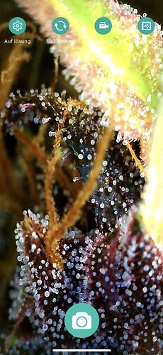 Growreport Bild 3