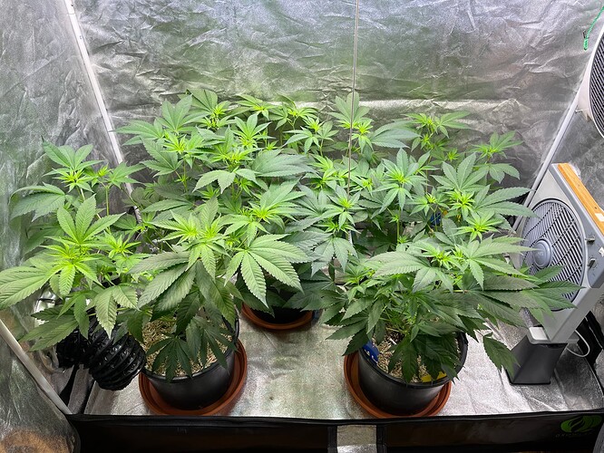 Growreport Bild 14