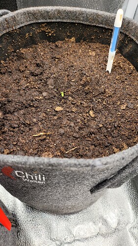 Growreport Bild 59