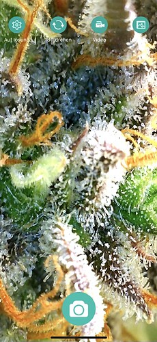 Growreport Bild 8