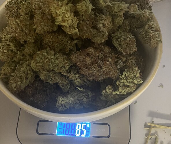 Growreport Bild 10