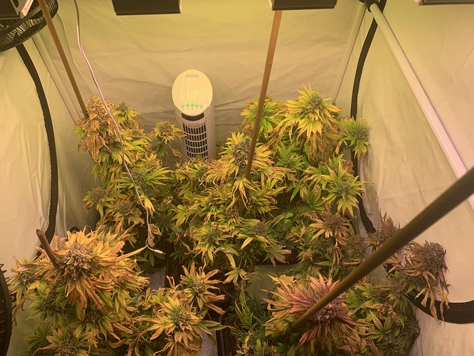 Growreport Bild 1