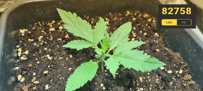 Growreport Bild 7