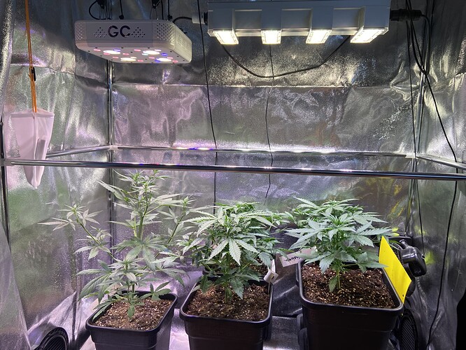 Growreport Bild 11
