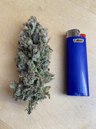 Growreport Bild 4