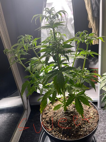 Growreport Bild 30