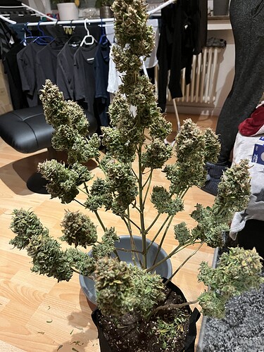 Growreport Bild 46