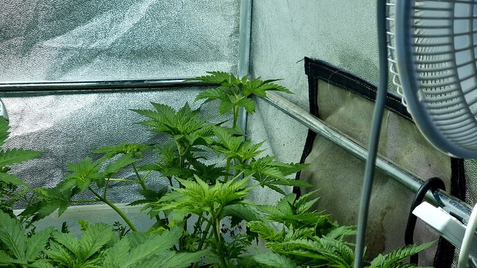Growreport Bild 8