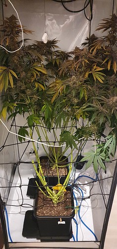 Growreport Bild 26