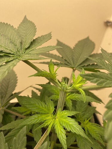Growreport Bild 11