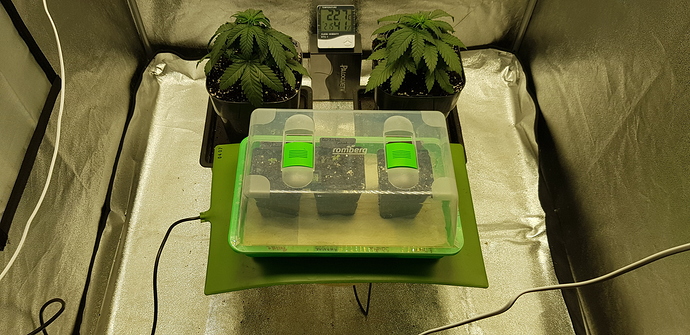 Growreport Bild 7