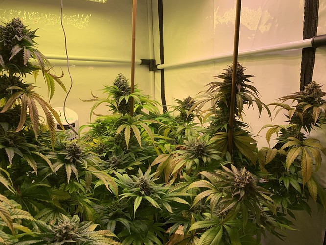 Growreport Bild 5