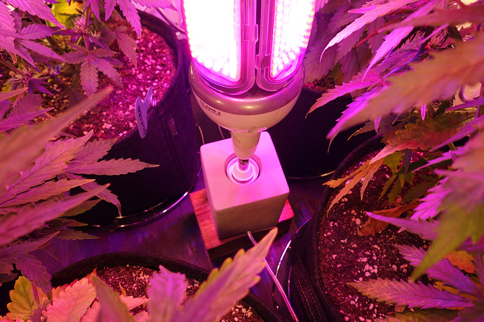 Growreport Bild 14