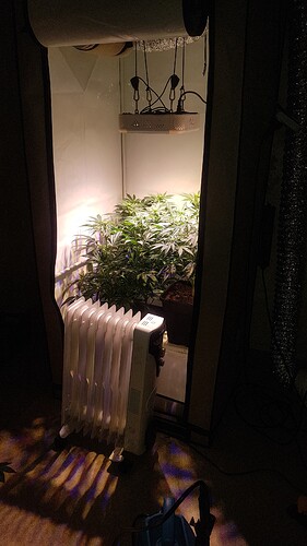 Growreport Bild 2