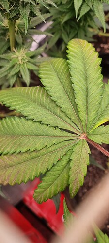 Growreport Bild 18
