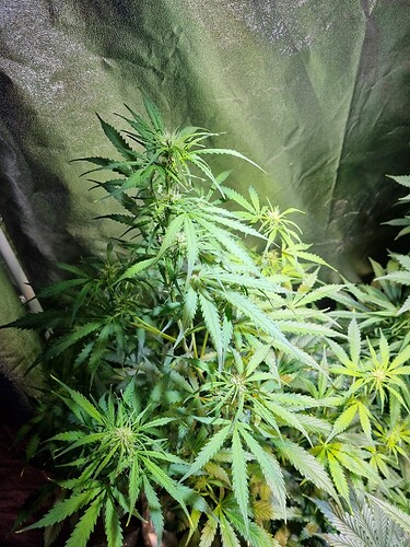 Growreport Bild 14