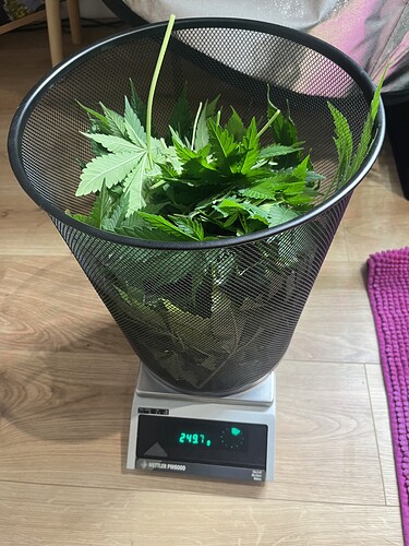 Growreport Bild 8