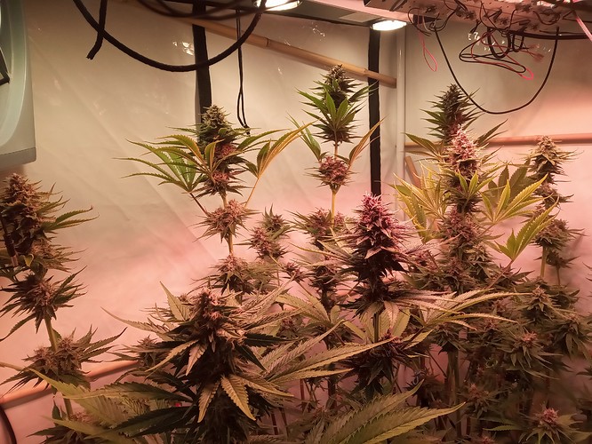 Growreport Bild 21