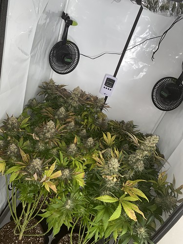 Growreport Bild 4