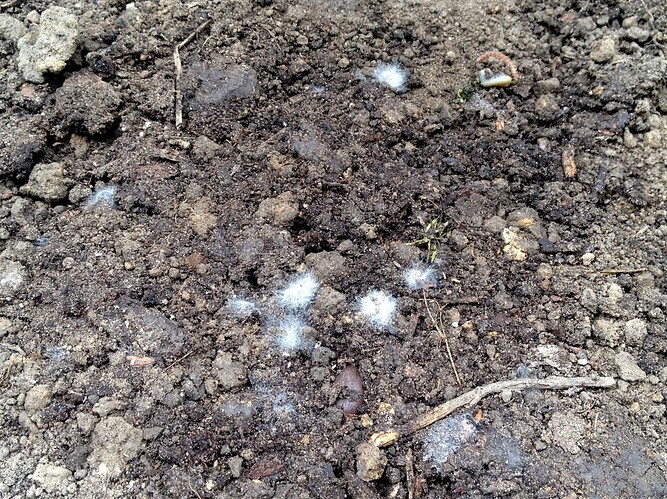 Growreport Bild 18