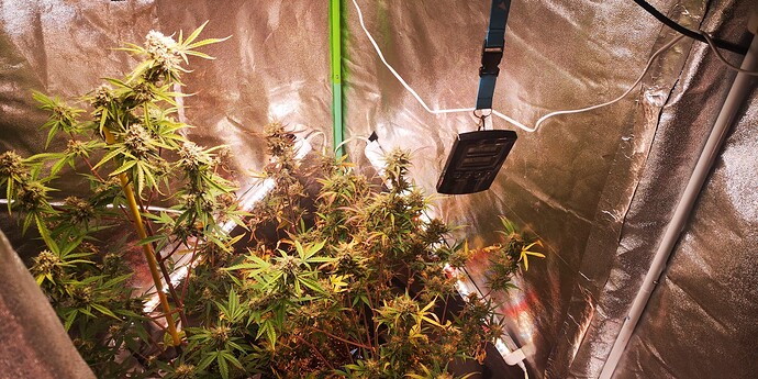 Growreport Bild 13