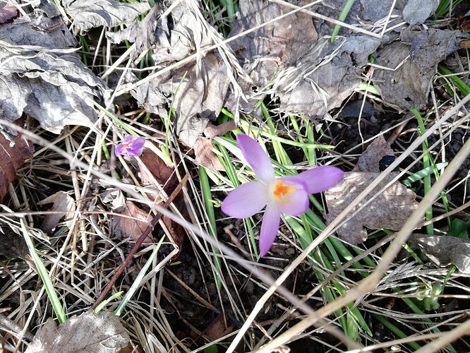 Growreport Bild 10